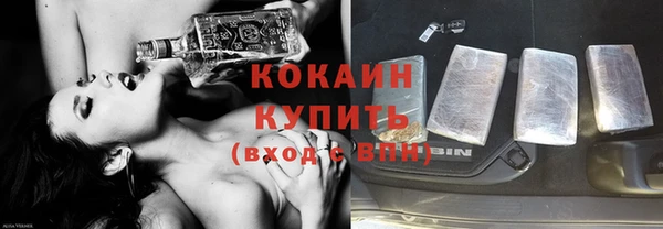 гашик Алзамай
