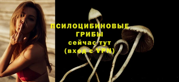 гашик Алзамай