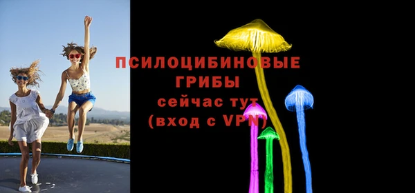 гашик Алзамай